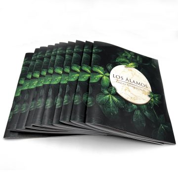 brochures bienes raices vertical