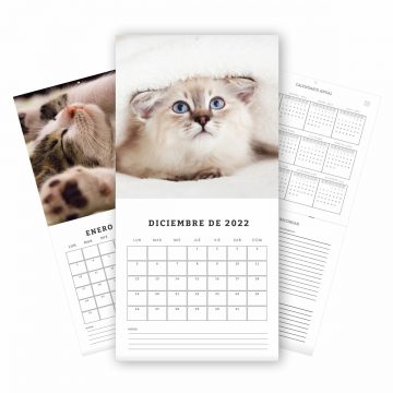 muck up calendario pared gatitos