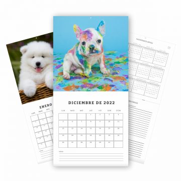 muck up calendario pared perritos