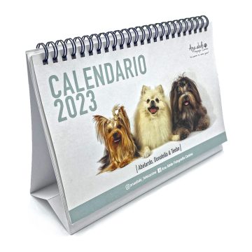 calendario escritorio 1