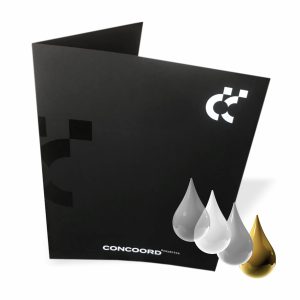 Carpetas de Presentación Vívidas carta extra 230x305mm