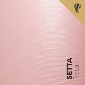 setta rosa