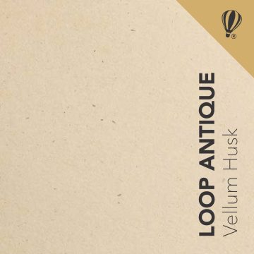 Loop Antique Vellum Husk