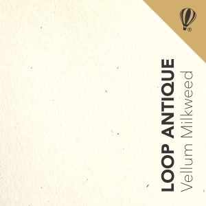 LOOP ANTIQUE VELLUM MILKWEED FSC 216 grs.