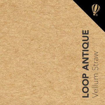 Loop Antique Vellum Straw